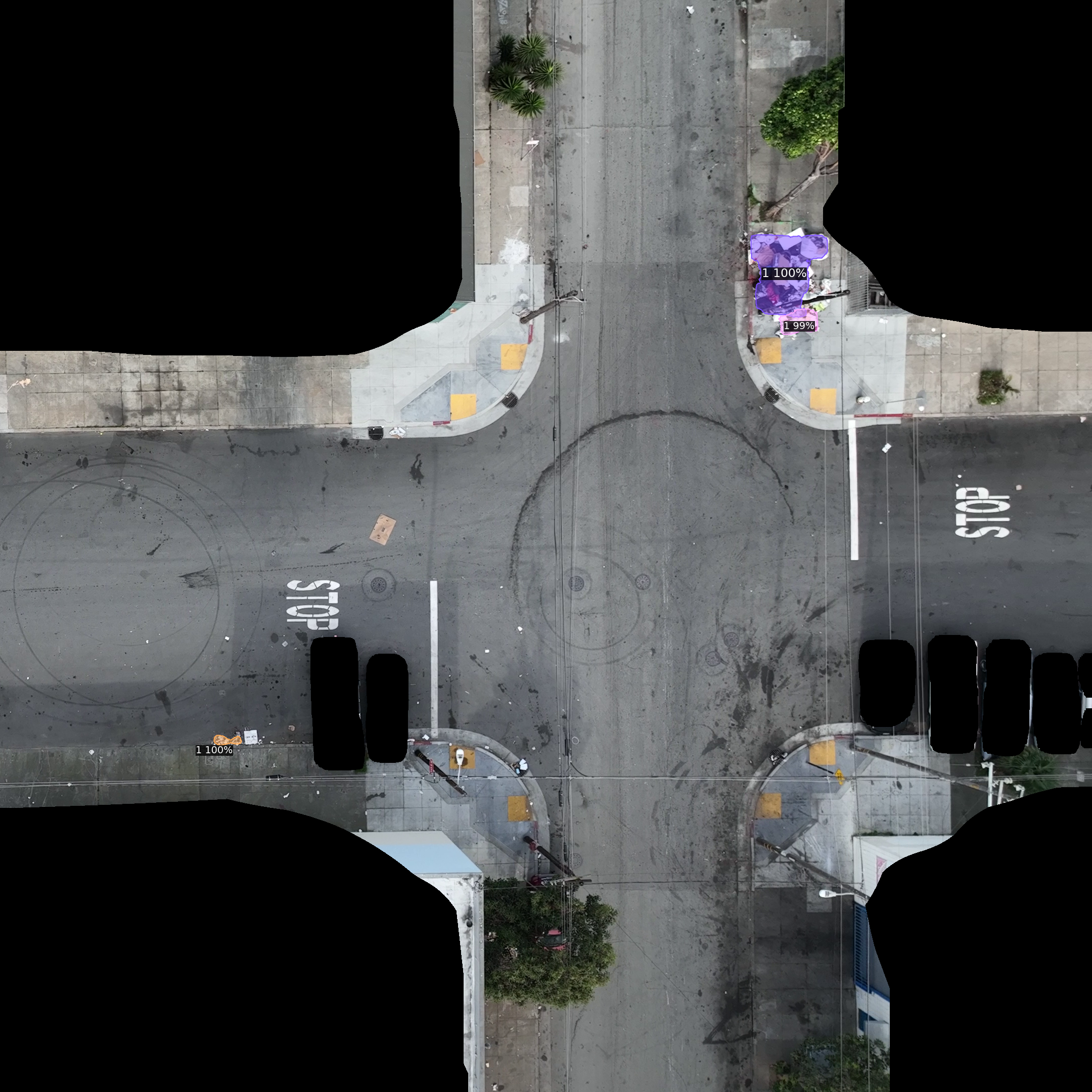 AI detection with segmentation masks and confidence scores on aerial orthomosaic